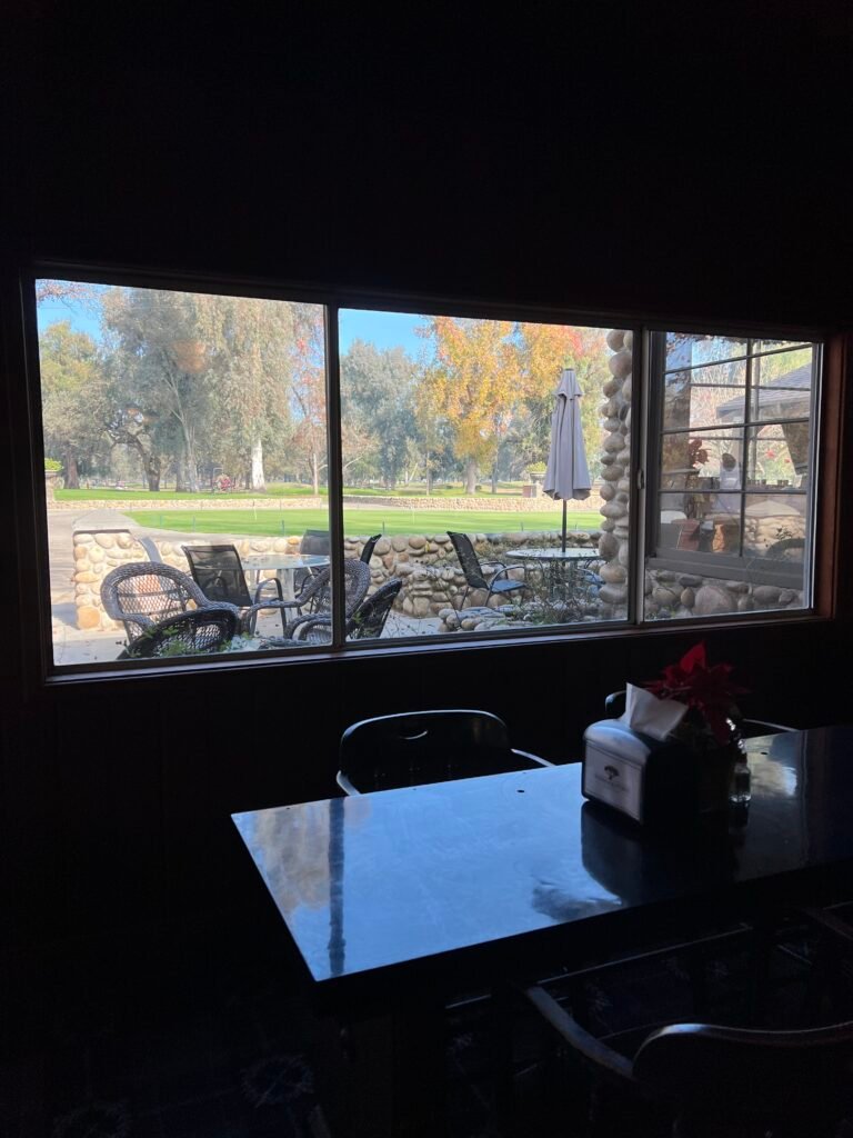 View through clean interior windows to a green backyard